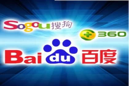 专业SEM服务公司案例分析报告